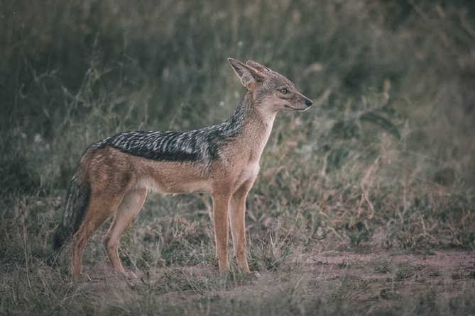 Northern-circuit Adventure - Lake Manyara: a full day around alkaline water