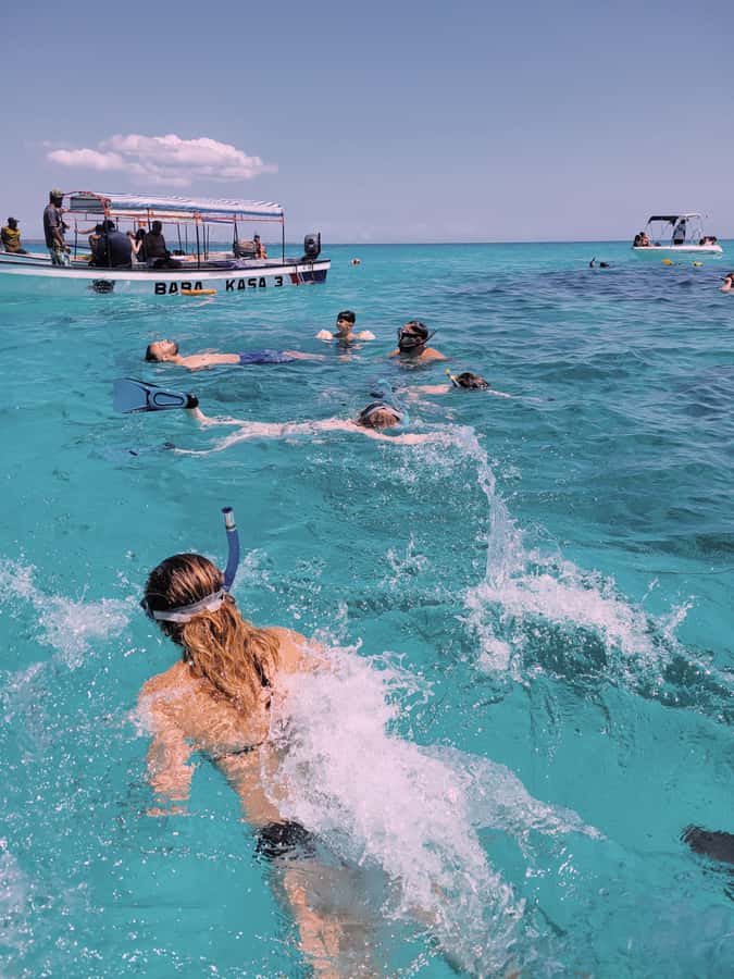 Nungwi: Dolphins,snokerlling &/or sunset cruising tour - Why this combination works around Nungwi