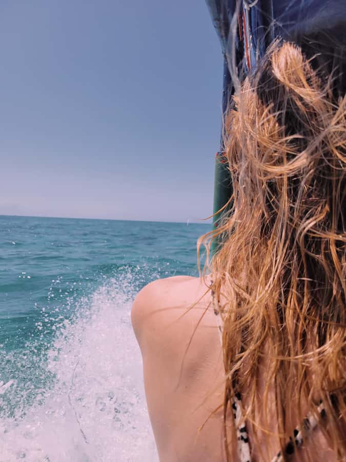 Nungwi: Dolphins,snokerlling &/or sunset cruising tour - Snorkeling near Mnemba Island