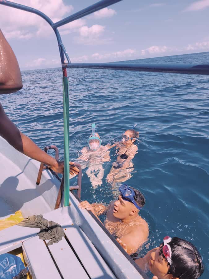 Nungwi: Dolphins,snokerlling &/or sunset cruising tour - Timing, transport, and the wide duration range