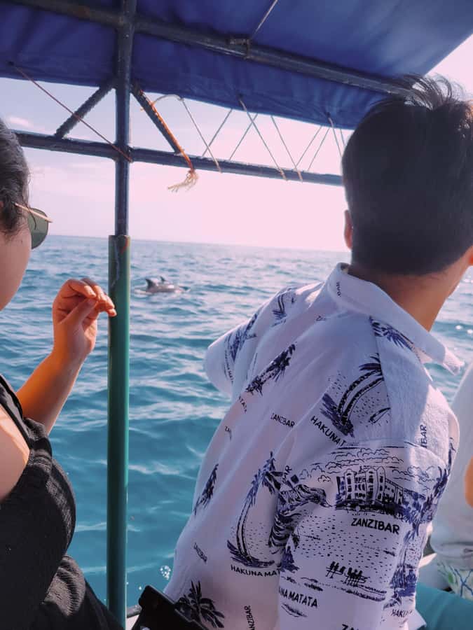 Nungwi: Dolphins,snokerlling &/or sunset cruising tour - Who should book this Nungwi outing?