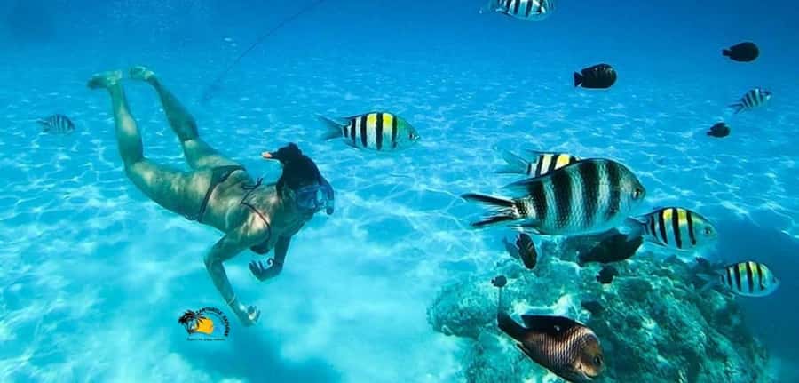 Nungwi: Mnemba Atoll Dolphins Tour with Snacks | Half-day - Practical preparation for the boat