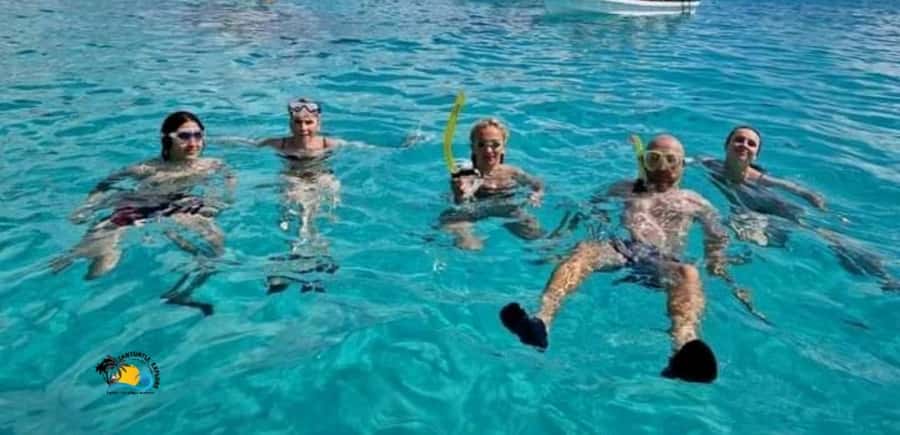 Nungwi: Mnemba Atoll Dolphins Tour with Snacks | Half-day - Searching for dolphins off Zanzibar
