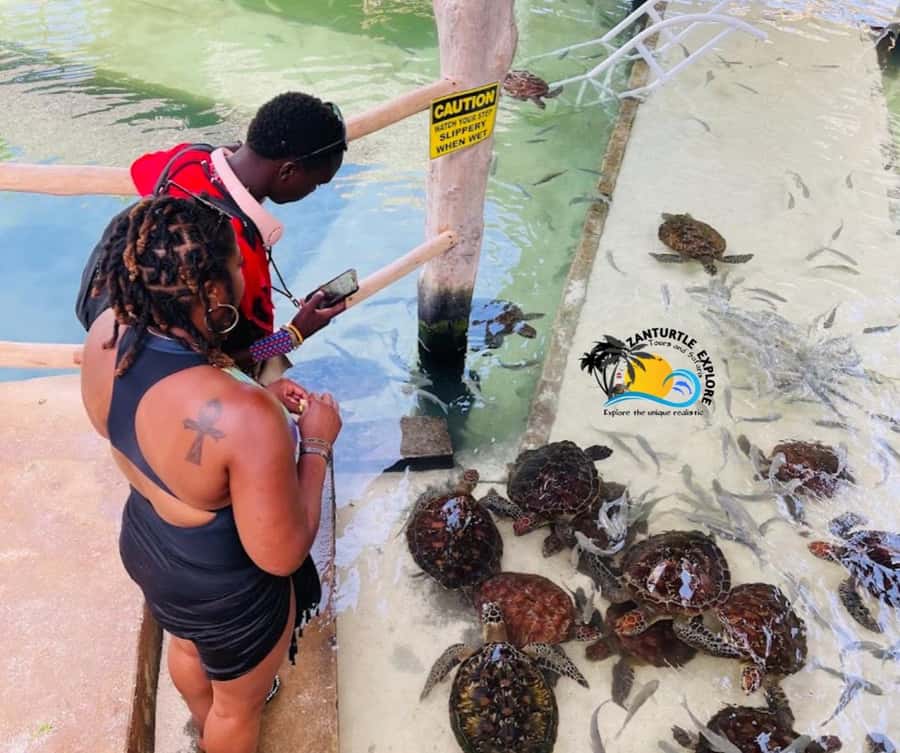 Nungwi: Swimming with Turtles at The Lagoons Zanzibar - Leaving your hotel for The Lagoons Zanzibar