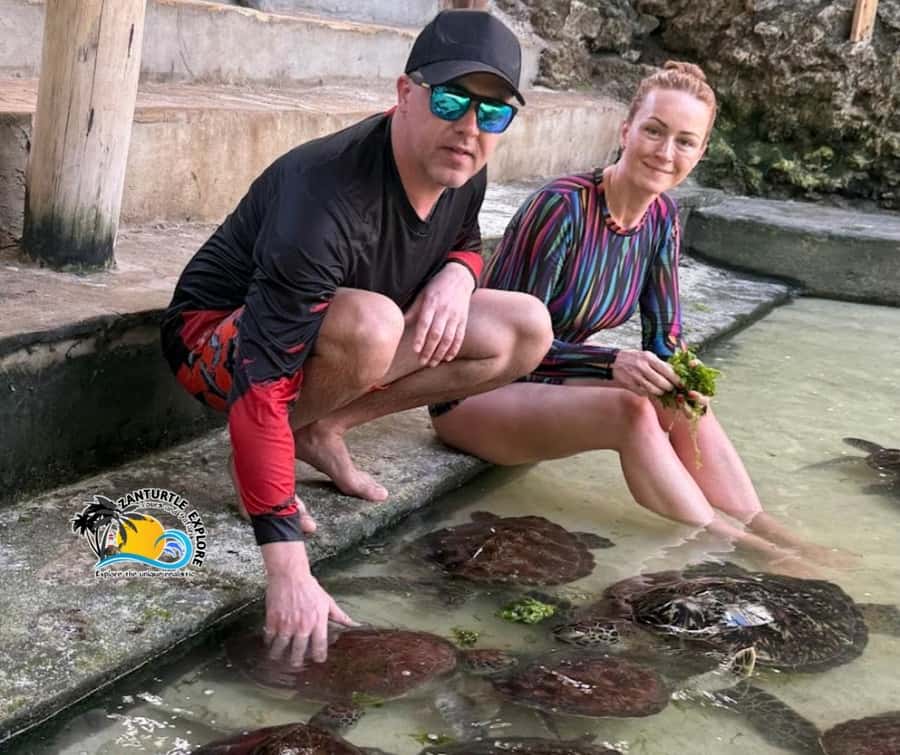 Nungwi: Swimming with Turtles at The Lagoons Zanzibar - Swimming and snorkeling in the lagoons