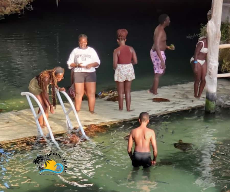 Nungwi: Swimming with Turtles at The Lagoons Zanzibar - Languages and guide service