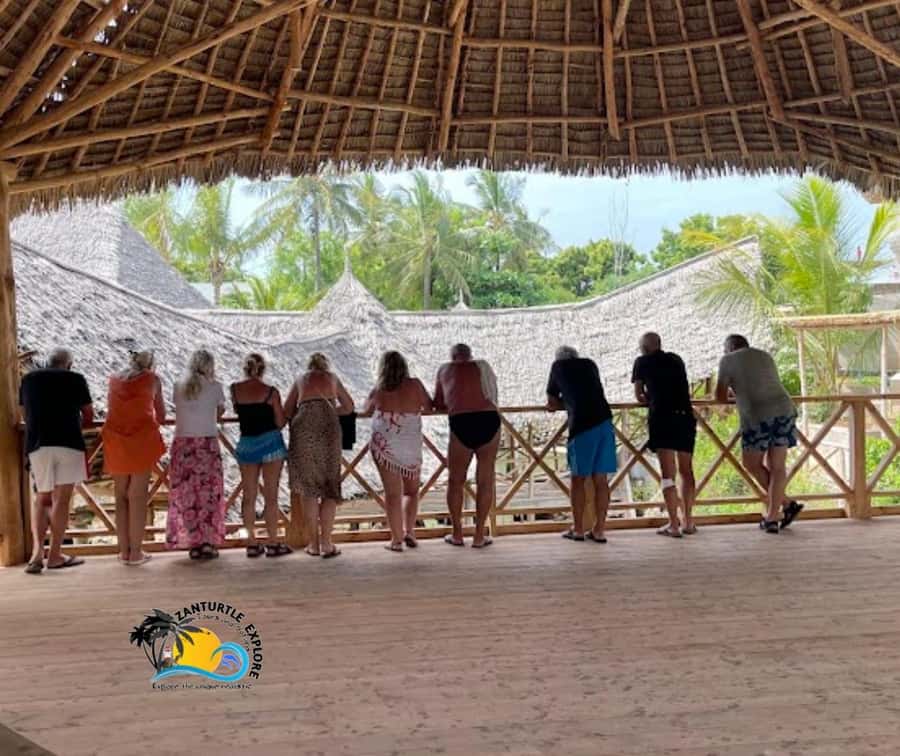 Nungwi: Swimming with Turtles at The Lagoons Zanzibar - Is $43 good value?