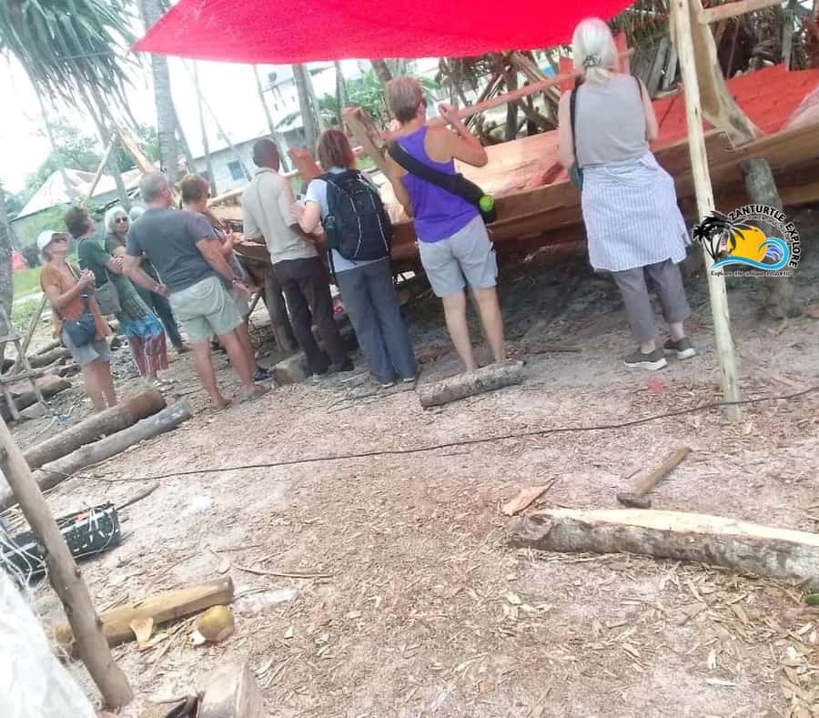 Nungwi Village Tour & Swim with Turtles at Mnarani Aquarium - What the $54 price really covers