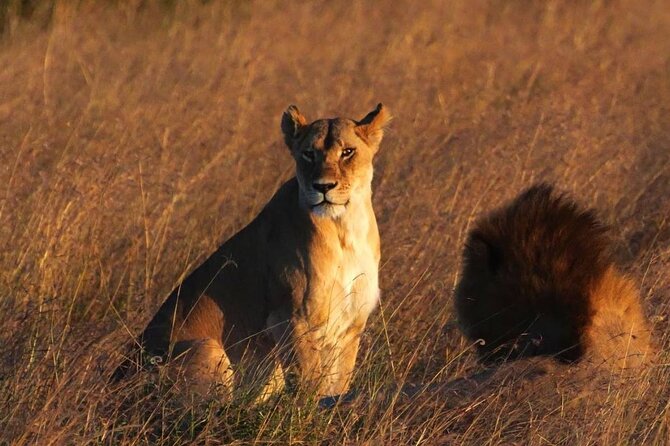 Off the Beaten Track Safari in Arusha Tanzania - Olduvai Gorge adds a human story to the Serengeti route