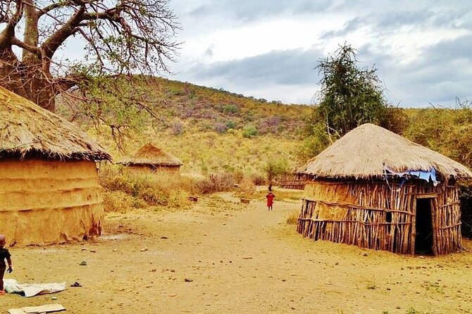 Off the Beaten Track Safari in Arusha Tanzania - What $2,500 buys, and where the value needs checking