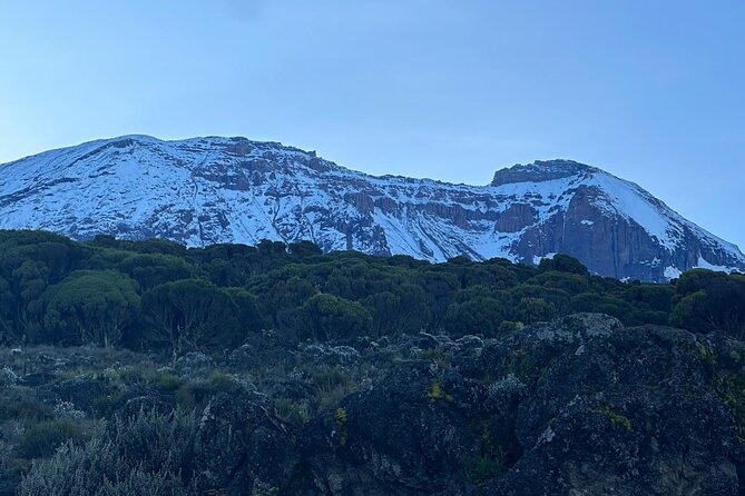 One Kilimanjaro Day hike Tour ISMANI TOURS AND SAFARIS - Key points before you book
