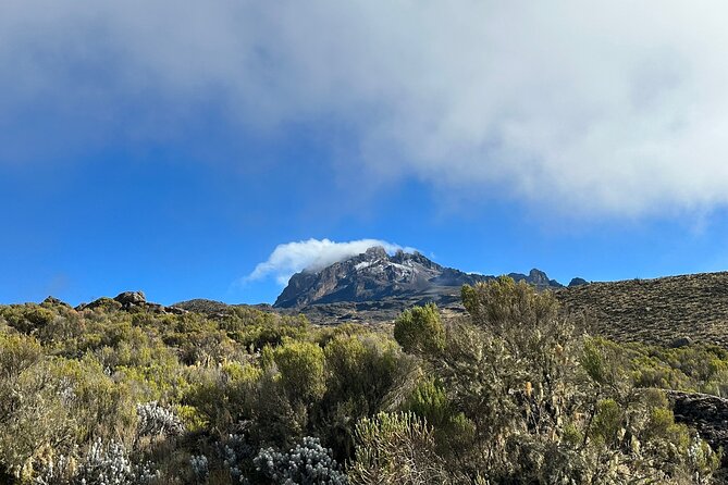 One Kilimanjaro Day hike Tour ISMANI TOURS AND SAFARIS - Mandara Hut at 2,743 meters
