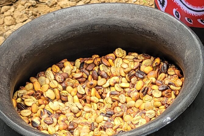 Organic Coffee Tour and Local Food Experience in Arusha - Reaching Ambureni village near Mount Meru