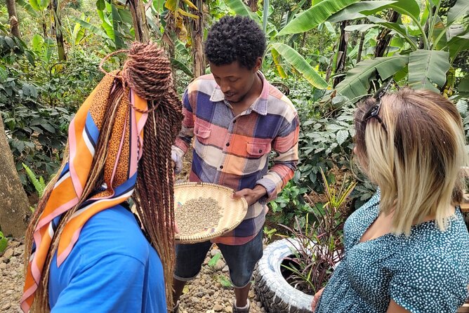 Organic Coffee Tour and Local Food Experience in Arusha - Clay pots, charcoal, and Tanzanian dishes