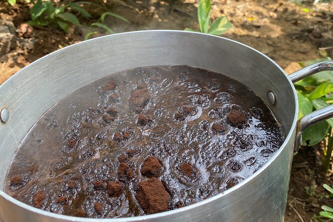 Organic Coffee Tour and Local Food Experience in Arusha - Is $45 a fair price?