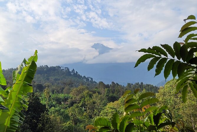 Organic Coffee Tour and Local Food Experience in Arusha - Turning coffee berries into your own cup