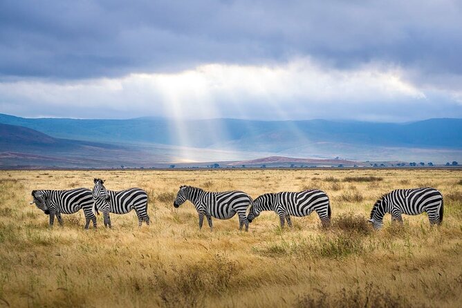 Outstanding day trip to Tarangire National Park - Why Tarangire works so well for a one-day safari
