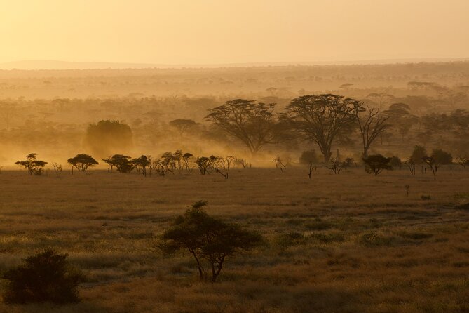 Outstanding day trip to Tarangire National Park - The animals you might see on the game drive