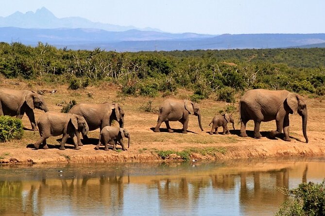 Outstanding day trip to Tarangire National Park - The difference a six-person group makes