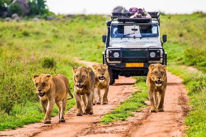 Outstanding day trip to Tarangire National Park - The 6:00 am start and the long road into the park