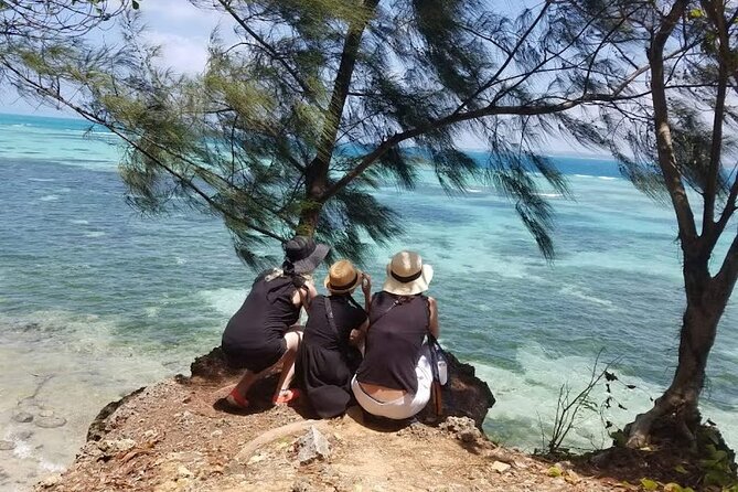 Prison Island And Nakupenda Sandbank Excursion - What lunch adds to the $110 price