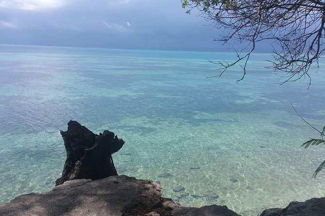 Prison Island Half-Day Tour from Zanzibar - What the private format changes