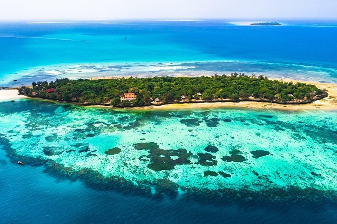 Prison Island Half-Day Tour from Zanzibar - Meeting the Aldabra giant tortoises