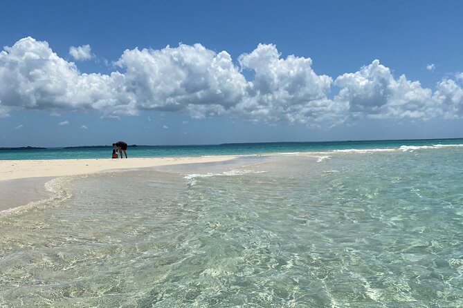 Prison Island + Nakupenda Tour - Swimming and snorkeling at your own pace