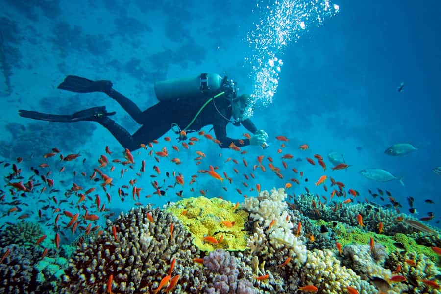 Prison Island: Private Half-Day Tour - The 30-minute boat ride from Stone Town