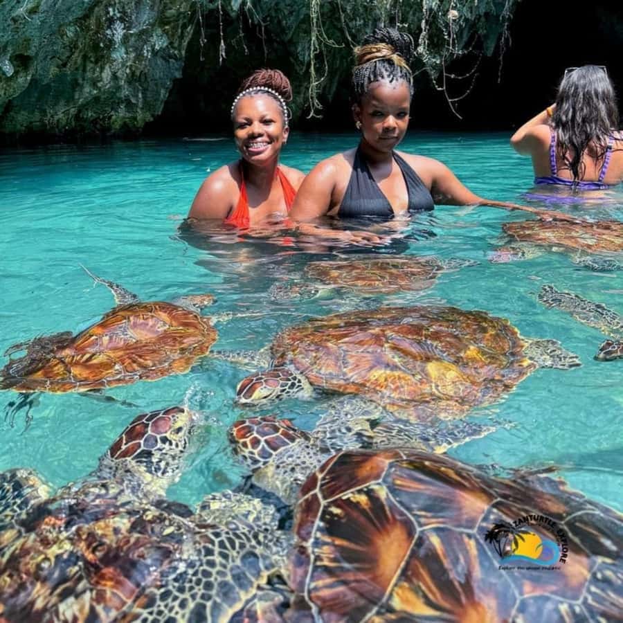 Prison Island, Sea Turtles, Rock Restaurant & Relax in Beach - Key details to know before booking