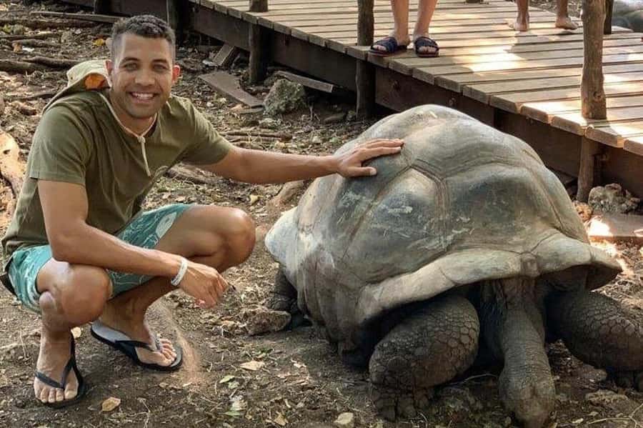 Prison Island, Sea Turtles, Rock Restaurant & Relax in Beach - Transport, meeting points, and private group value
