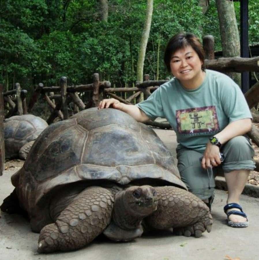 Prison Island, Sea Turtles, Rock Restaurant & Relax in Beach - Prison Island and its giant tortoises