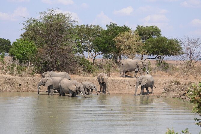 Private 3 Days 2 Nights Mikumi Adventures - Who should book this Mikumi safari?