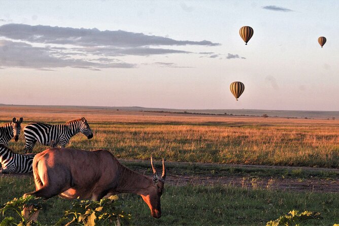 Private 4-Days Northern Circuit National Parks in Tanzania - Day 3: Entering the Serengeti for the first game drive
