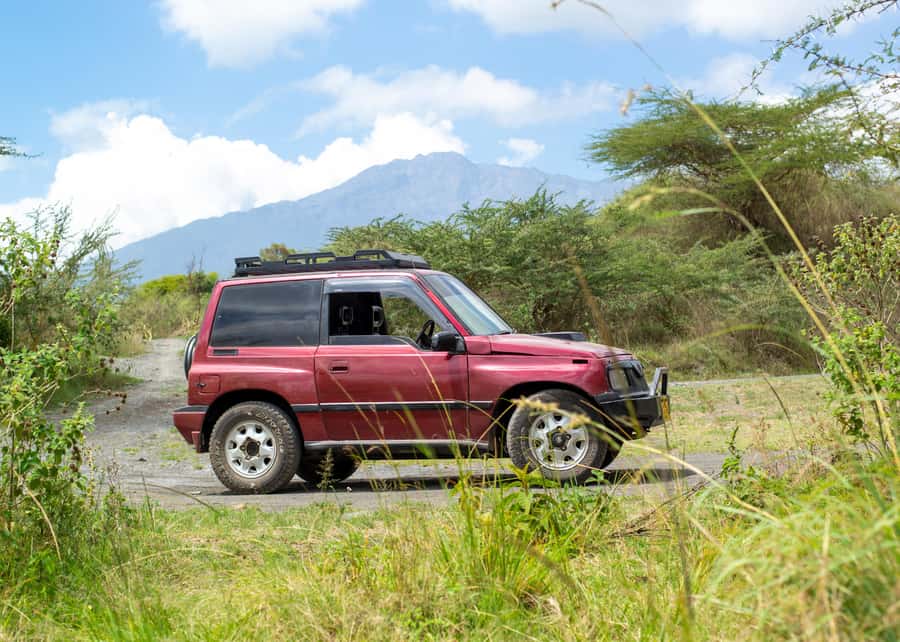 Private 4x4 Vitara Safari in Arusha National Park - Montane forest, colobus monkeys, and Mount Meru views