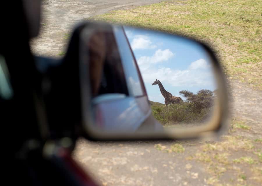 Private 4x4 Vitara Safari in Arusha National Park - Photography support that adds real value