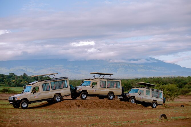 Private 5-Days Serengeti Trails with Kojuu Safaris - Day three: a full day among Serengeti’s predators