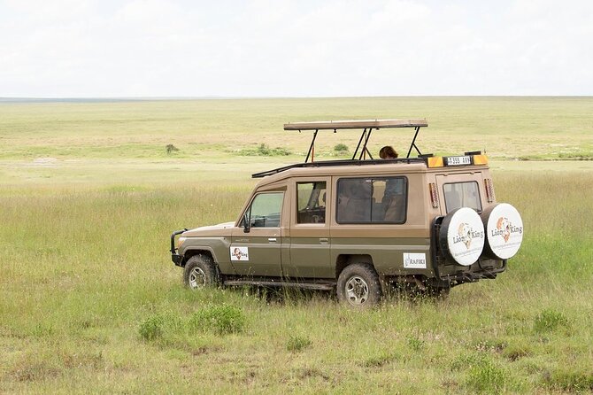 Private 6-Day Great Migration Ndutu Serengeti Safari Tour - Day 4: A full day among the migrating herds