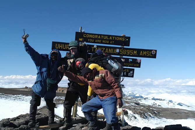 Private 6-Day Kilimanjaro Climbing via Machame route from Arusha - Day 2: Leaving the forest for Shira Camp