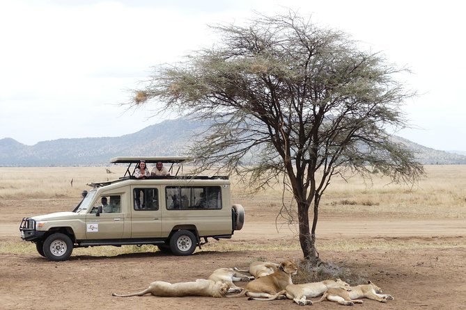 Private 6-Day Tarangire Manyara Crater and Serengeti with Mid-Range Lodges - Day 1: Arriving in Arusha and getting your bearings