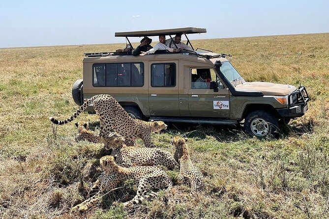 Private 6-Day Tarangire Manyara Crater and Serengeti with Mid-Range Lodges - Day 4: A full day on the Serengeti plains
