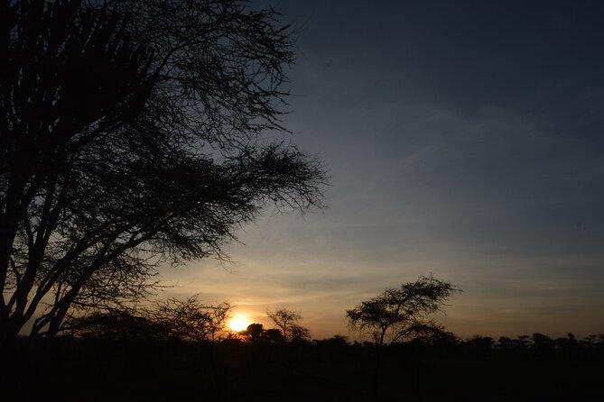 Private 7-Day Tanzania Camping Safari - Day 6: Olduvai Gorge and the Ngorongoro rim