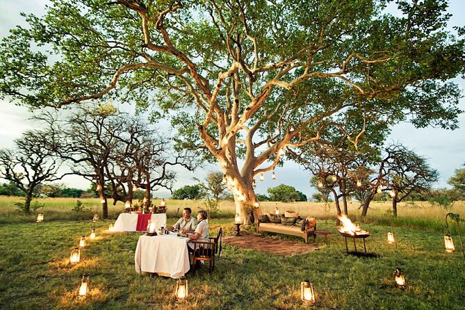 Private 7 Days Classic Safari Tour in Tanzania - What this seven-day route really covers