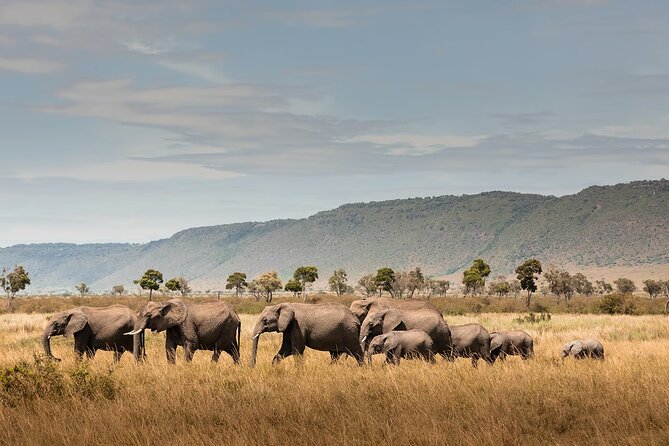 Private 7 Days Classic Safari Tour in Tanzania - Day 1: Arriving beneath Mount Meru