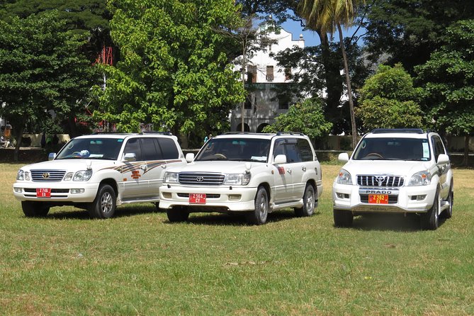 Private Arrival Transfer in Zanzibar - Meeting your representative at Kisauni Airport