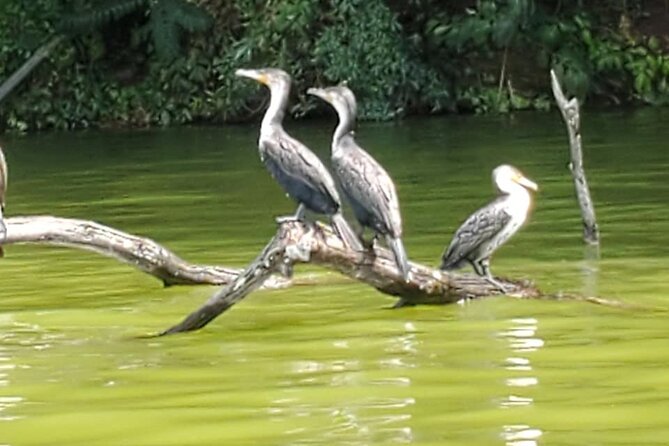 Private Canoe or Hike Tour on Lake Duluti - A quiet alternative near Arusha