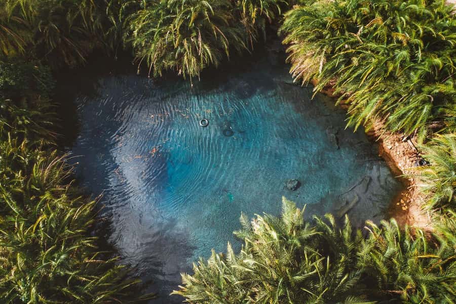 Private Chemka/Kikuletwa hotsprings with lunch & drinks - From Arusha or Moshi to Bomang’ombe