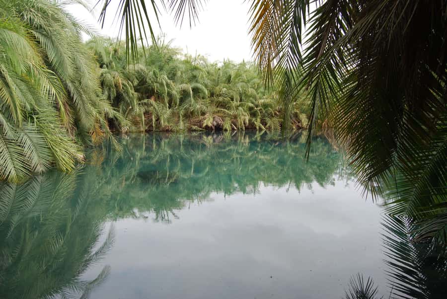 Private Chemka/Kikuletwa hotsprings with lunch & drinks - The best time to go