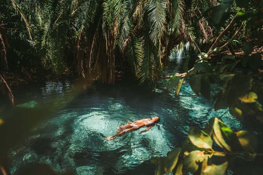 Private Chemka/Kikuletwa hotsprings with lunch & drinks - Arriving at the fig-tree oasis