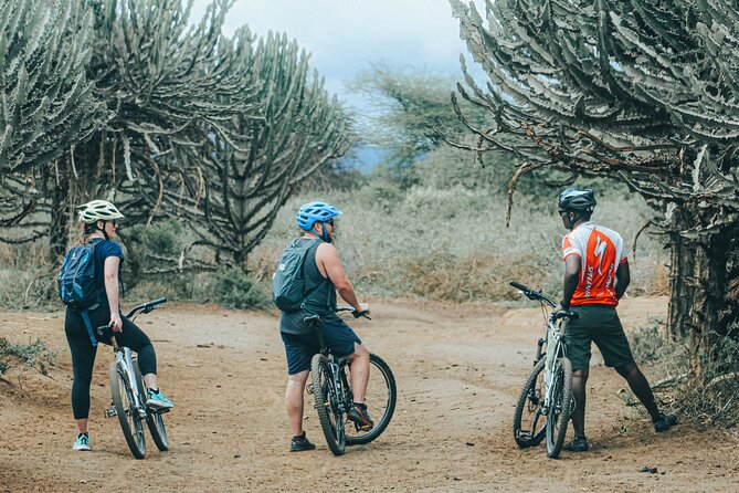 Private Cycle to Kilimanjaro Bike Park Safari - Key things to know before you book